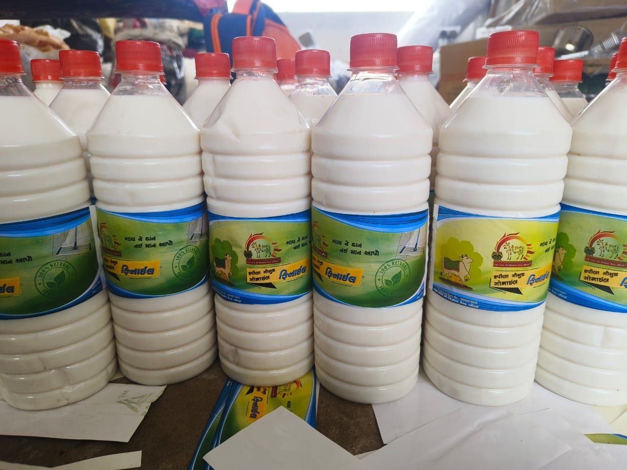 Goumay Gonai Panchgavya Phenyl | Cow-Based Natural Floor Cleaner | Eco-Friendly & Herbal Cleaning Solution
