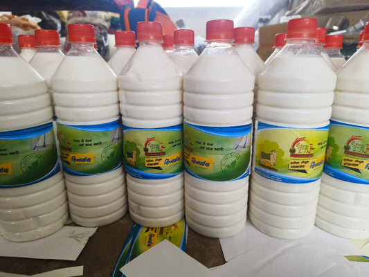 Goumay Gonai Panchgavya Phenyl | Cow-Based Natural Floor Cleaner | Eco-Friendly & Herbal Cleaning Solution